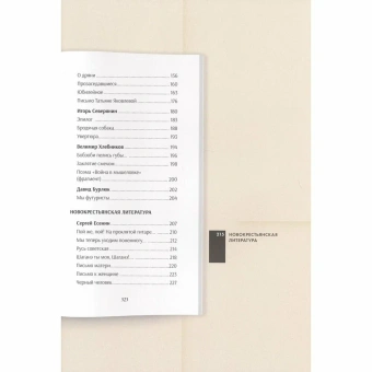 Книга «Серебряный век русской поэзии. Стихотворения и судьбы. Подробный иллюстрированный комментарий» - автор Жуйкова Елена Викторовна, твердый переплёт, кол-во страниц - 344, издательство «Проспект»,  серия «Книга в книге», ISBN 978-5-6049287-2-1, 2024 год