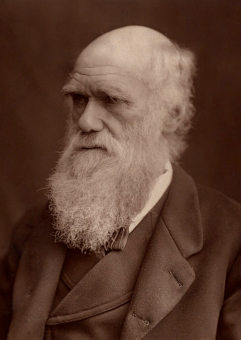 Книга «Происхождение видов» - автор Дарвин Чарльз Роберт, мягкий переплёт, кол-во страниц - 672, издательство «АСТ»,  серия «Эксклюзивная классика», ISBN 978-5-17-982750-4, 2024 год