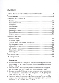Книга «Божественная Литургия. Смысл и порядок богослужения» -  мягкий переплёт, кол-во страниц - 48, издательство «Свято-Елисаветинский монастырь»,  серия «Знай и веруй», ISBN 978-985-7200-41-2 , 2019 год