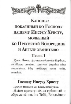 Книга «Молитвослов с совмещенными канонами и правилом ко Святому Причащению. Крупный шрифт» -  твердый переплёт, кол-во страниц - 189, издательство «Благовест»,  ISBN 978-5-9968-0754-3, 2022 год