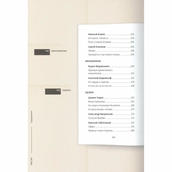 Книга «Серебряный век русской поэзии. Стихотворения и судьбы. Подробный иллюстрированный комментарий» - автор Жуйкова Елена Викторовна, твердый переплёт, кол-во страниц - 344, издательство «Проспект»,  серия «Книга в книге», ISBN 978-5-6049287-2-1, 2024 год