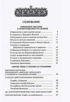 Книга «Лекарство от скорби. Книга житий святых, молитв и утешений в скорбях, страданиях и болезнях» -  твердый переплёт, кол-во страниц - 384, издательство «Ковчег»,  ISBN 978-5-906652-07-2 , 2017 год