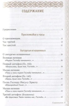 Книга «Главное таинство Церкви. Божественная Литургия с пояснениями» -  мягкий переплёт, кол-во страниц - 112, издательство «Сретенский монастырь»,  ISBN 978-5-7533-1971-5, 2025 год
