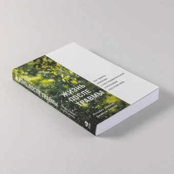 Книга «Жизнь после травмы. Как помочь близкому с посттравматическим стрессовым расстройством» - автор Зэйферт Клаудиа, Девива Джейсон, мягкий переплёт, кол-во страниц - 360, издательство «Альпина Паблишер»,  ISBN 978-5-9614-8514-1, 2024 год