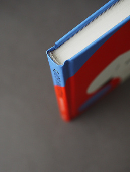 Книга «Разделяя боль. Опыт психолога МЧС, который пригодится каждому» - автор Пыжьянова Лариса Григорьевна, твердый переплёт, кол-во страниц - 176, издательство «Никея»,  ISBN 978-5-907307-06-3, 2022 год