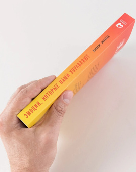 Книга «Эмоции, которые нами управляют. Как не попасть в ловушки гнева, вины, печали. Когнитивно-поведенческий подход» - автор Хоуэллс Лоуренс , мягкий переплёт, кол-во страниц - 342, издательство «Альпина Паблишер»,  ISBN 978-5-9614-7746-7, 2025 год
