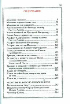 Книга «Православный молитвослов (оптинский) с двумя закладками » -  твердый переплёт, кол-во страниц - 512, издательство «Оптина пустынь»,  ISBN 978-5-86594-321-1, 2023 год