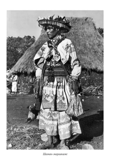 Книга «Мексиканский шаманизм: мифы, ритуалы и верования уичолей. Полевые исследования» - автор Берснев Павел Валерьевич, твердый переплёт, кол-во страниц - 223, издательство «Альма-Матер»,  серия «Методы антропологии», ISBN 978-5-904994-95-2, 2025 год