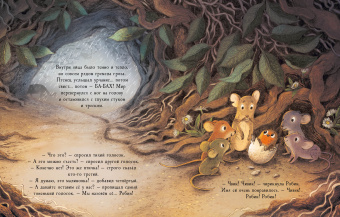 Книга «Робин» - автор Оджари Дэн, Плиз Майки, твердый переплёт, кол-во страниц - 28, издательство «Нигма»,  ISBN 978-5-4335-0950-4, 2021 год