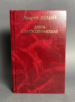 Книга «Душа самосознающая» - автор Белый Андрей, твердый переплёт, кол-во страниц - 560, издательство «Канон+»,  серия «История философии в памятниках», ISBN 5-88373-137-6, 2006 год