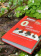 Купить книгу «Образы женского. Клинический и психопатологический подход», автор Майди Уари | Книжный магазин ULYSSES.MD Книга «Образы женского. Клинический и психопатологический подход» - автор Майди Уари , твердый переплёт, кол-во страниц - 338, издательство «Когито-Центр», серия «Библиотека психоанализа», ISBN 978-5-89353-630-0 , 2021 год