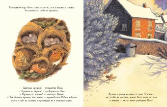 Книга «Робин» - автор Оджари Дэн, Плиз Майки, твердый переплёт, кол-во страниц - 28, издательство «Нигма»,  ISBN 978-5-4335-0950-4, 2021 год