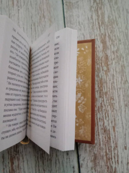 Книга «Книга премудрости Соломона. Книга премудрости Иисуса, сына Сирахова» -  твердый переплёт, кол-во страниц - 288, издательство «Летопись»,  ISBN 978-5-9905028-9-5 , 2022 год