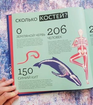 Книга «Я считаю все» - автор Лагози Жюстин де, твердый переплёт, кол-во страниц - 64, издательство «Пешком в историю»,  серия «Мир вокруг нас», ISBN 978-5-906994-10-3 , 2018 год