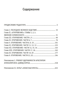 Книга «Архетип Апокалипсиса» - автор Эдингер Эдвард Ф., твердый переплёт, кол-во страниц - 234, издательство «Касталия»,  ISBN 978-5-519-60745-2 , 2015 год