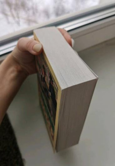 Книга «Воспитание чувств» - автор Флобер Гюстав, мягкий переплёт, кол-во страниц - 480, издательство «АСТ»,  серия «Эксклюзивная классика», ISBN 978-5-17-146229-1, 2022 год