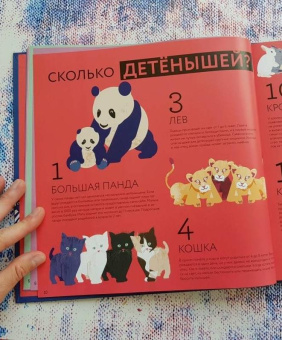 Книга «Я считаю все» - автор Лагози Жюстин де, твердый переплёт, кол-во страниц - 64, издательство «Пешком в историю»,  серия «Мир вокруг нас», ISBN 978-5-906994-10-3 , 2018 год