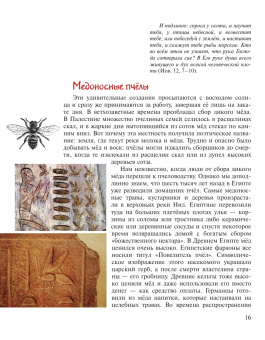 Книга «Птицы, рыбы и слоны... Занимательная книга школьника» - автор Медведева Надежда Сидоровна, твердый переплёт, кол-во страниц - 160, издательство «ИМП»,  ISBN 978-5-88017-445-4, 2022 год