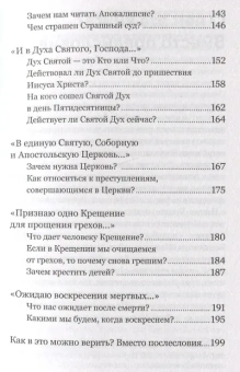 Книга «Смысл христианской веры. Ответы на вопросы ума и сердца» - автор Александр Гумеров священник , твердый переплёт, кол-во страниц - 208, издательство «Никея»,  ISBN  978-5-907457-80-5 , 2022 год