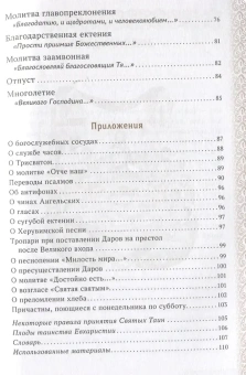 Книга «Главное таинство Церкви. Божественная Литургия с пояснениями» -  мягкий переплёт, кол-во страниц - 112, издательство «Сретенский монастырь»,  ISBN 978-5-7533-1971-5, 2025 год