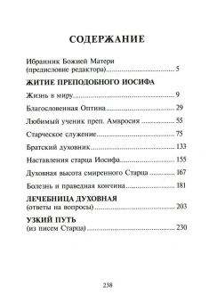 Книга «Избранник Божией Матери. Преподобный Иосиф Оптинский. Житие и наставления» -  твердый переплёт, кол-во страниц - 240, издательство «Синопсис»,  ISBN 978-5-907554-33-7 , 2022 год
