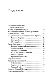 Книга «Радость с горчичное зерно» - автор Савва (Мажуко) архимандрит , твердый переплёт, кол-во страниц - 256, издательство «Никея»,  серия «Эссе о Боге», ISBN 978-5-907828-16-2, 2025 год