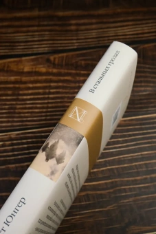 Книга «В стальных грозах» - автор Юнгер Эрнст , твердый переплёт, кол-во страниц - 352, издательство «АСТ»,  серия «Библиотека классики», ISBN 978-5-17-163386-8, 2023 год