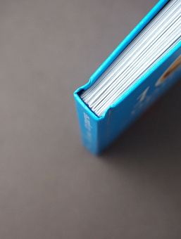 Книга «Жил человек… Сборник христианских притч и сказаний» -  твердый переплёт, кол-во страниц - 224, издательство «Никея»,  серия «101 притча», ISBN 978-5-907661-94-3, 2024 год