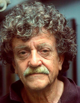 Книга «Матерь Тьма» - автор Воннегут Курт, мягкий переплёт, кол-во страниц - 224, издательство «АСТ»,  серия «Эксклюзивная классика», ISBN 978-5-17-099474-8, 2025 год