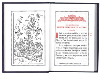 Книга «Пассия, или чинопоследование с акафистом Божественным Страстем Христовым» -  твердый переплёт, кол-во страниц - 176, издательство «Сретенский монастырь»,  ISBN 978-5-7533-1943-2, 2025 год