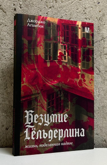 Книга «Безумие Гёльдерлина. Жизнь, поделенная надвое» - автор Giorgio Agamben (Джорджо Агамбен), мягкий переплёт, кол-во страниц - 320, издательство «АСТ»,  серия «Слово современной философии», ISBN 978-5-17-154669-4, 2025 год