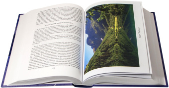 Книга «Птицы небесные в 2 томах. Том 1. Странствия души в объятиях Бога. Том 2. Через молитву к священному безмолвию» - автор Симон (Бескровный) иеромонах (монах Симеон Афонский), твердый переплёт, кол-во страниц - 1360, издательство «Синтагма»,  ISBN 978-2-2002-1138-7, 2018 год