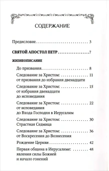 Книга «Святые апостолы Петр и Павел» -  твердый переплёт, кол-во страниц - 496, издательство «Благовест»,  ISBN 978-5-9968-0717-8, 2022 год