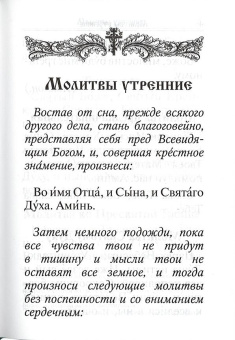 Книга «Молитвослов с совмещенными канонами и правилом ко Святому Причащению. Крупный шрифт» -  твердый переплёт, кол-во страниц - 189, издательство «Благовест»,  ISBN 978-5-9968-0754-3, 2022 год