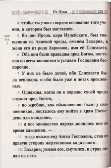 Книга «Святое Евангелие Господа нашего Иисуса Христа. Крупный шрифт» -  твердый переплёт, кол-во страниц - 479, издательство «Ковчег»,  ISBN 978-5-6040174-2-5, 2022 год