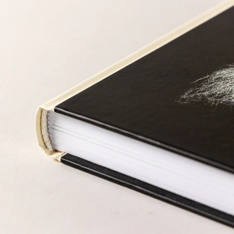 Книга «Не могу молчать. Статьи о войне, насилии, любви, безверии и непротивлении злу» - автор Толстой Лев Николаевич, твердый переплёт, кол-во страниц - 332, издательство «Альпина Паблишер»,  ISBN 978-5-9614-8323-9, 2025 год