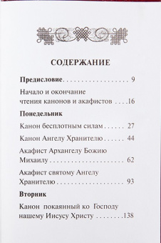 Книга «Каноны и акафисты на каждый день седмицы. Карманный формат» -  твердый переплёт, кол-во страниц - 576, издательство «Православный печатник»,  серия «Карманная библиотека», ISBN 978-5-6051829-9-3, 2025 год