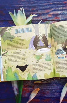 Книга «Папа, мама, я – звериная семья» - автор Гюнтер Евгения Евгеньевна, твердый переплёт, кол-во страниц - 44, издательство «Пешком в историю»,  серия «Мир вокруг нас», ISBN 212-5-094-16888-2, 2019 год