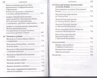 Книга «Молитвослов «Молитвенный покров православной женщины»» -  твердый переплёт, кол-во страниц - 800, издательство «Духовное преображение»,  ISBN 978-5-00059-361-5, 2020 год