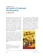 Купить книгу «Основы графического дизайна. Базовое руководство для начинающих», автор Миллер Крис Тафт | Книжный магазин ULYSSES.MD Книга «Основы графического дизайна. Базовое руководство для начинающих» - автор Миллер Крис Тафт , твердый переплёт, кол-во страниц - 112, издательство «Бомбора», серия «Подарочные издания. Дизайн», ISBN 978-5-04-207997-9, 2025 год