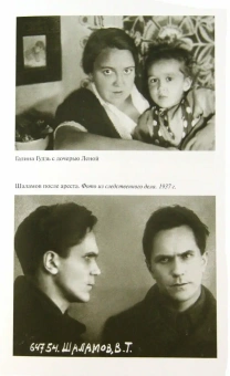 Книга «Шаламов» - автор Есипов Валерий Васильевич, твердый переплёт, кол-во страниц - 352, издательство «Молодая гвардия»,  серия «Жизнь замечательных людей (ЖЗЛ)», ISBN 978-5-235-05089-1, 2023 год