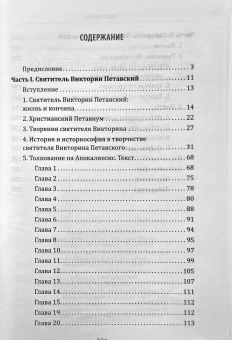 Книга «Балканские отцы III-IV веков: святители Викторин Петавский и Никита Ремесианский» - автор Владимир Василик протодиакон , твердый переплёт, кол-во страниц - 224, издательство «Сретенский монастырь»,  ISBN 978-5-7533-2001-8, 2025 год