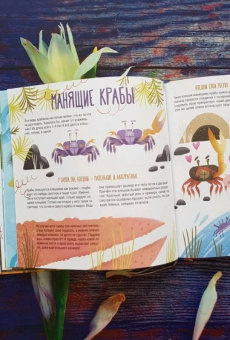 Книга «Папа, мама, я – звериная семья» - автор Гюнтер Евгения Евгеньевна, твердый переплёт, кол-во страниц - 44, издательство «Пешком в историю»,  серия «Мир вокруг нас», ISBN 212-5-094-16888-2, 2019 год