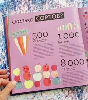Книга «Я считаю все» - автор Лагози Жюстин де, твердый переплёт, кол-во страниц - 64, издательство «Пешком в историю»,  серия «Мир вокруг нас», ISBN 978-5-906994-10-3 , 2018 год