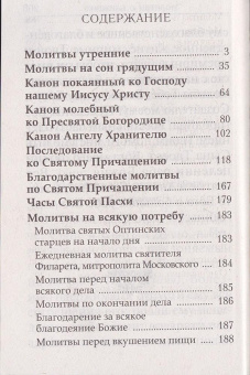 Книга «Молитвослов крупным шрифтом. Каноны раздельные» -  мягкий переплёт, кол-во страниц - 208, издательство «Духовное преображение»,  ISBN 978-5-6054008-6-8, 2026 год