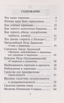 Книга «Как научиться терпеть недостатки ближних» -  мягкий переплёт, кол-во страниц - 64, издательство «Ковчег»,  ISBN 978-5-906652-84-3, 2025 год