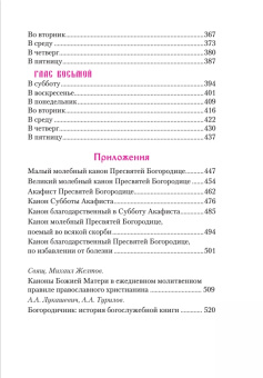 Книга «Богородичник. Каноны Божией Матери на каждый день» -  твердый переплёт, кол-во страниц - 528, издательство «ПСТГУ»,  ISBN 978-5-7429-1377-1 , 2021 год