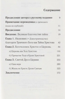 Книга «Экклесиология апостола Павла по святителю Иоанну Златоусту» - автор Афанасий (Евтич) епископ , твердый переплёт, кол-во страниц - 384, издательство «Новоспасский монастырь»,  ISBN 978-5-87389-057-6, 2010 год
