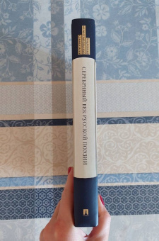 Книга «Серебряный век русской поэзии. Стихотворения и судьбы. Подробный иллюстрированный комментарий» - автор Жуйкова Елена Викторовна, твердый переплёт, кол-во страниц - 344, издательство «Проспект»,  серия «Книга в книге», ISBN 978-5-6049287-2-1, 2024 год