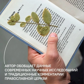 Книга «Царство Небес. Нагорная проповедь: историко-экзегетический обзор. Пособие для катехизаторовв» - автор Осипов Дмитрий Борисович, твердый переплёт, кол-во страниц - 320, издательство «Никея»,  ISBN 978-5-907457-19-5 , 2022 год